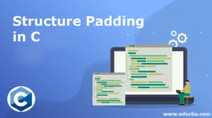 Structure Padding In C | How Does Structure Padding Work In C?