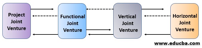 Types of Joint Venture Various Types of Joint Venture