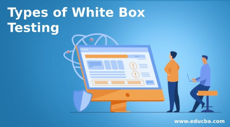 White Box Testing Types With Examples