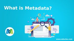 What is Metadata? | Types and Benefits of Metadata with Examples