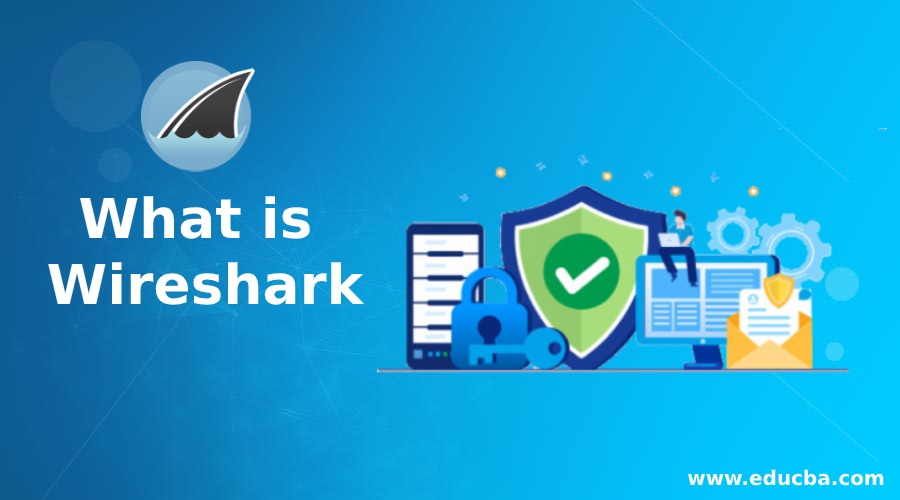 how to use wireshark to find hackers