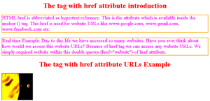 href tag in html w3schools
