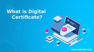 What is Digital Certificate? | Guide on the Importance of Digital ...