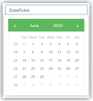 Angular Bootstrap Datepicker 1