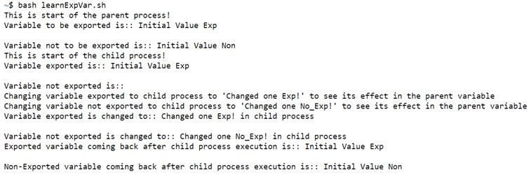 Bash Export Variable 1