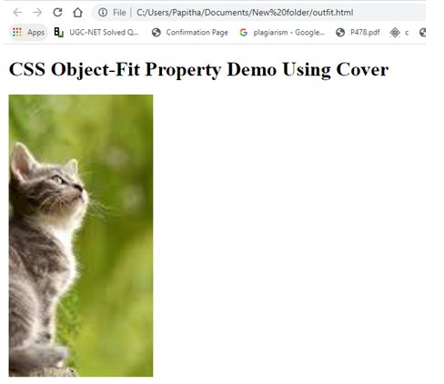 CSS object-fit 2