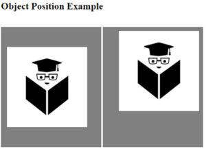 CSS object-position | How CSS object-position Property work | Examples