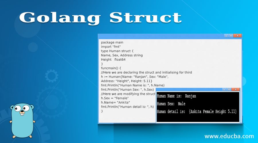 golang embedded struct assignment