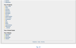 Install phpMyAdmin | Easy Installation Steps for phpMyAdmin
