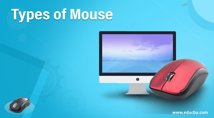 Various Types of Computer Mouse You Should Know