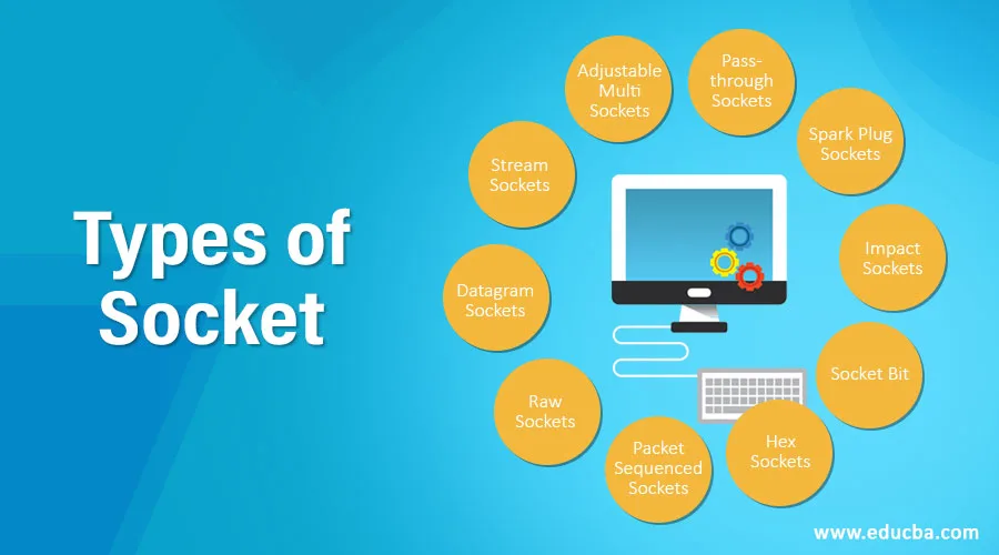 Types of Socket