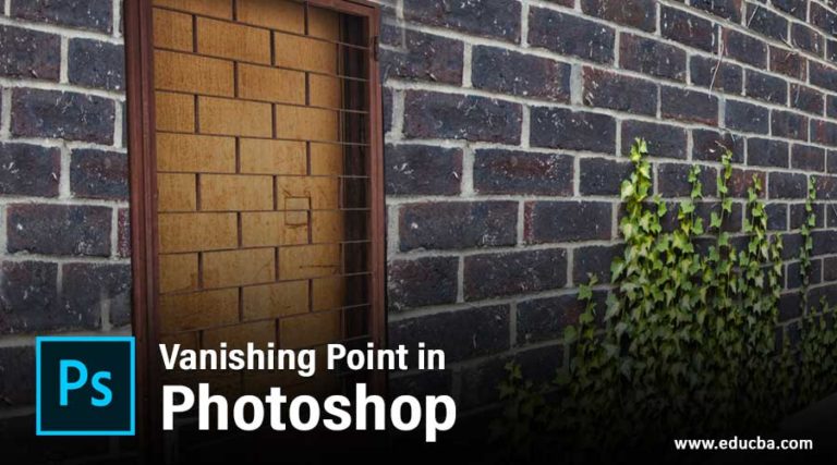 Vanishing Point in Photoshop | How to Use Vanishing Point in Photoshop?
