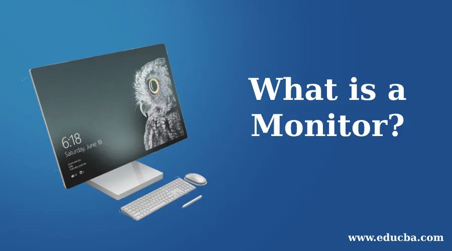 What is a Monitor?