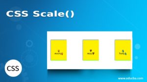 CSS Scale() | Top 5 Examples of scale() Function in CSS