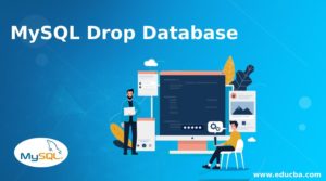 MySQL Drop Database | Examples of MySQL Drop Database