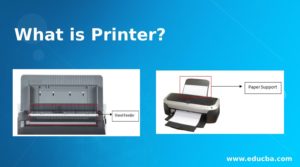 What is Printer? | Top 10 Parts of Printer and their Uses you should Know