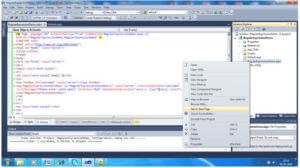 ASP.NET RegularExpressionValidator | Validating Regular Expression