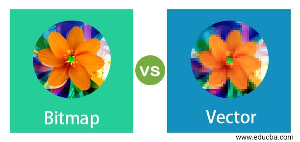 raster images vs vector images