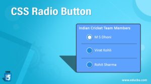 CSS Radio Button | Examples to Implement CSS Radio Button
