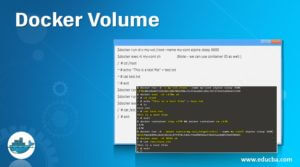 Docker Volume | How Does Volume Work in Docker? (Examples)
