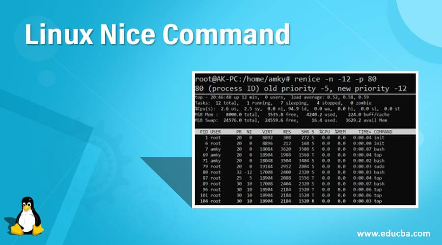 Linux Nice Command