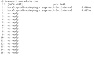 Linux tracepath | Top 7 Examples of Linux tracepath Command