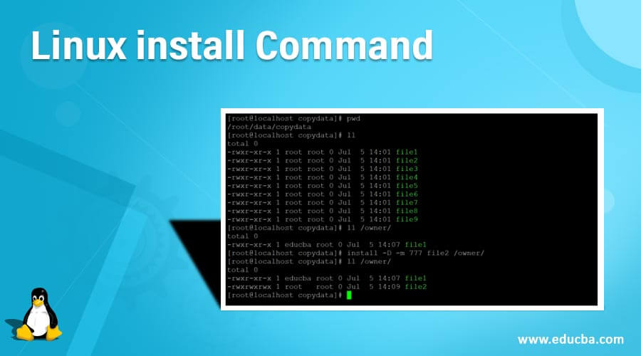 Linux install Command