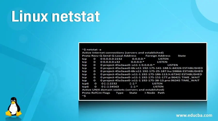 Linux netstat