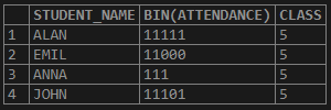 MySQL BIT Example 2