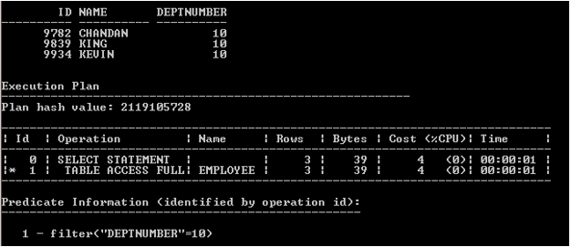 Oracle Bitmap Index output 3