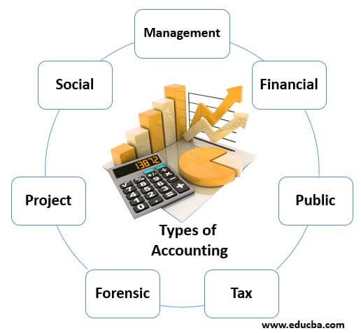 Types of Accounting | 7 Different Types of Accounting with Explanation