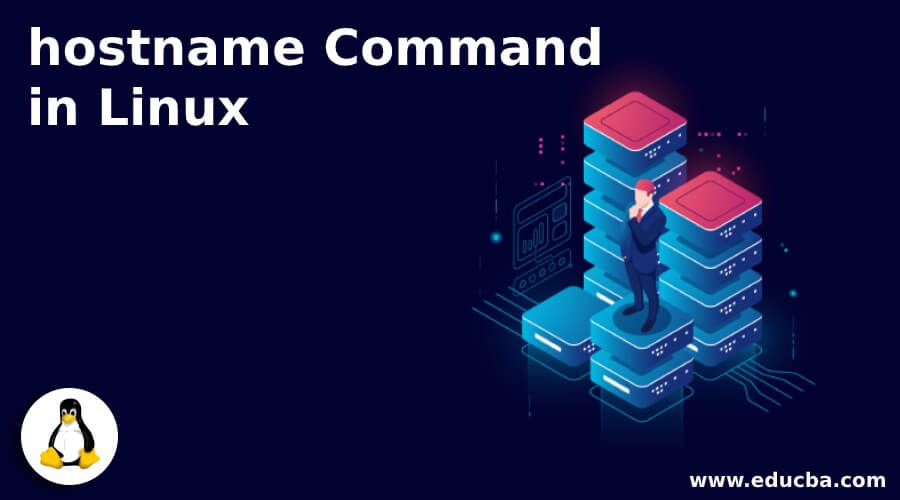 Hostname Command In Linux Working Programming Examples