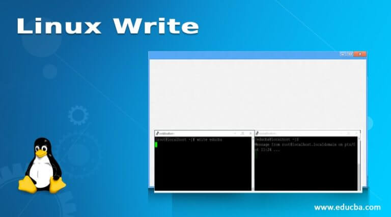 linux-write-command-to-communicate-with-various-login-users