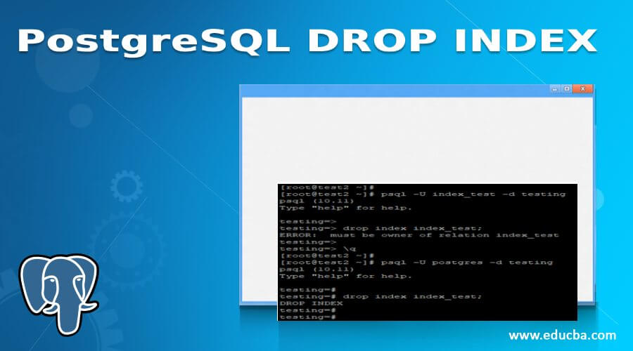 PostgreSQL DROP INDEX