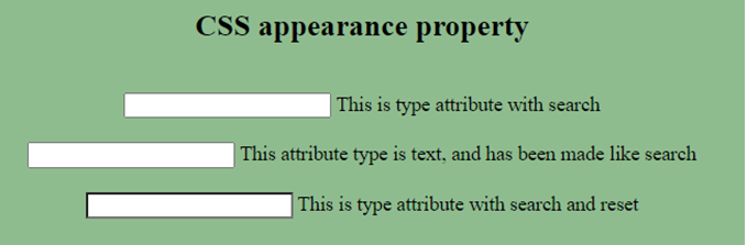 CSS Appearance-1.3