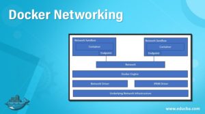 Docker Networking | How Does Docker Networking Works?