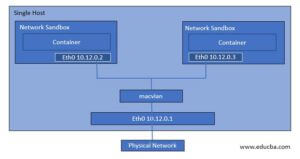 Docker Networking | How Does Docker Networking Works?