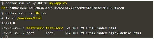 Docker copy Command output 4