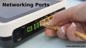 Networking Ports A Quick Glance Of 3 Different Networking Ports Networking Ports A Quick Glance Of 3 Different Networking Ports