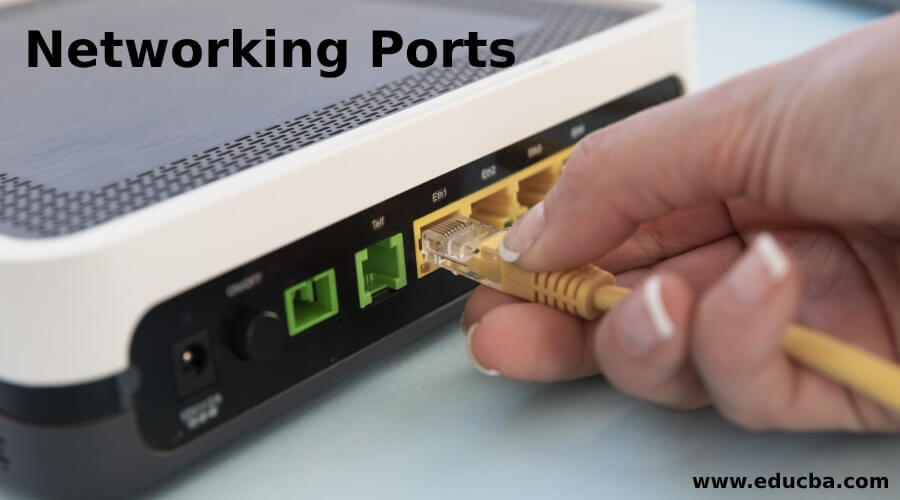Networking Ports