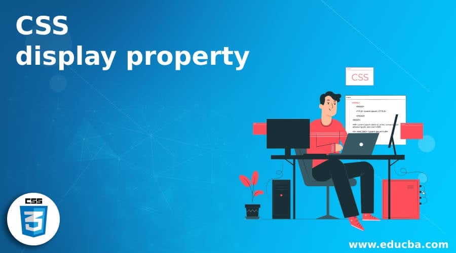 CSS Display Property How Display Property Work In CSS With Examples