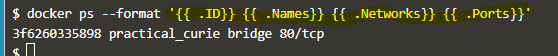 Docker format output 4