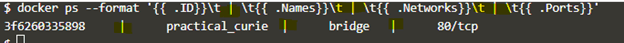 Docker format output 6