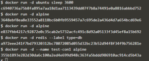 Docker ps | How the ps command works in Docker with examples?