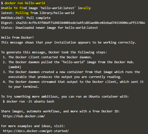 Docker run command Example 1