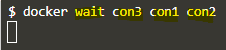 Docker wait output 3