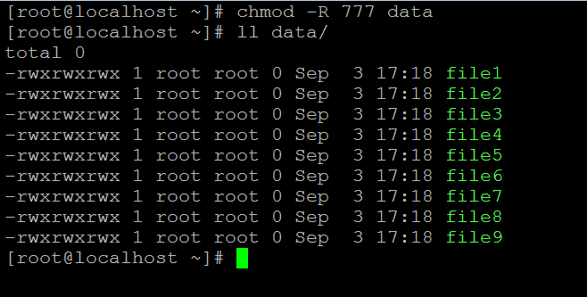 Linux chmod recursive output 2