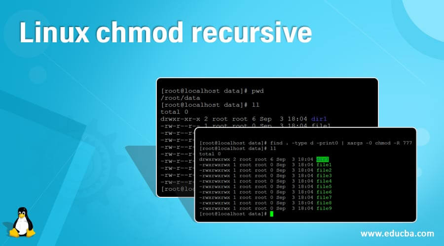 Linux chmod recursive