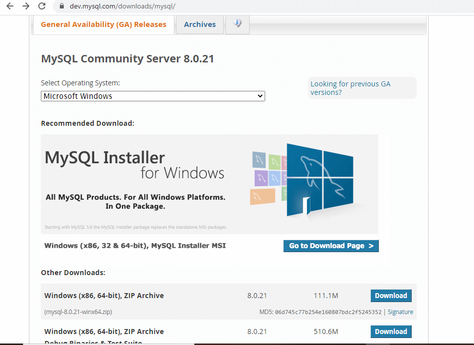 MySQL Community Server output 2