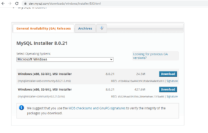 MySQL Community Server | How MySQL Community Server Works?